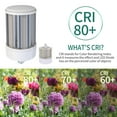 thumbnail image 5 of 120-Watt Equivalent 15000 Lumens E26/E39 (Standard) LED COB Light Bulb Daylight (5000K) (1-Bulb), 5 of 5