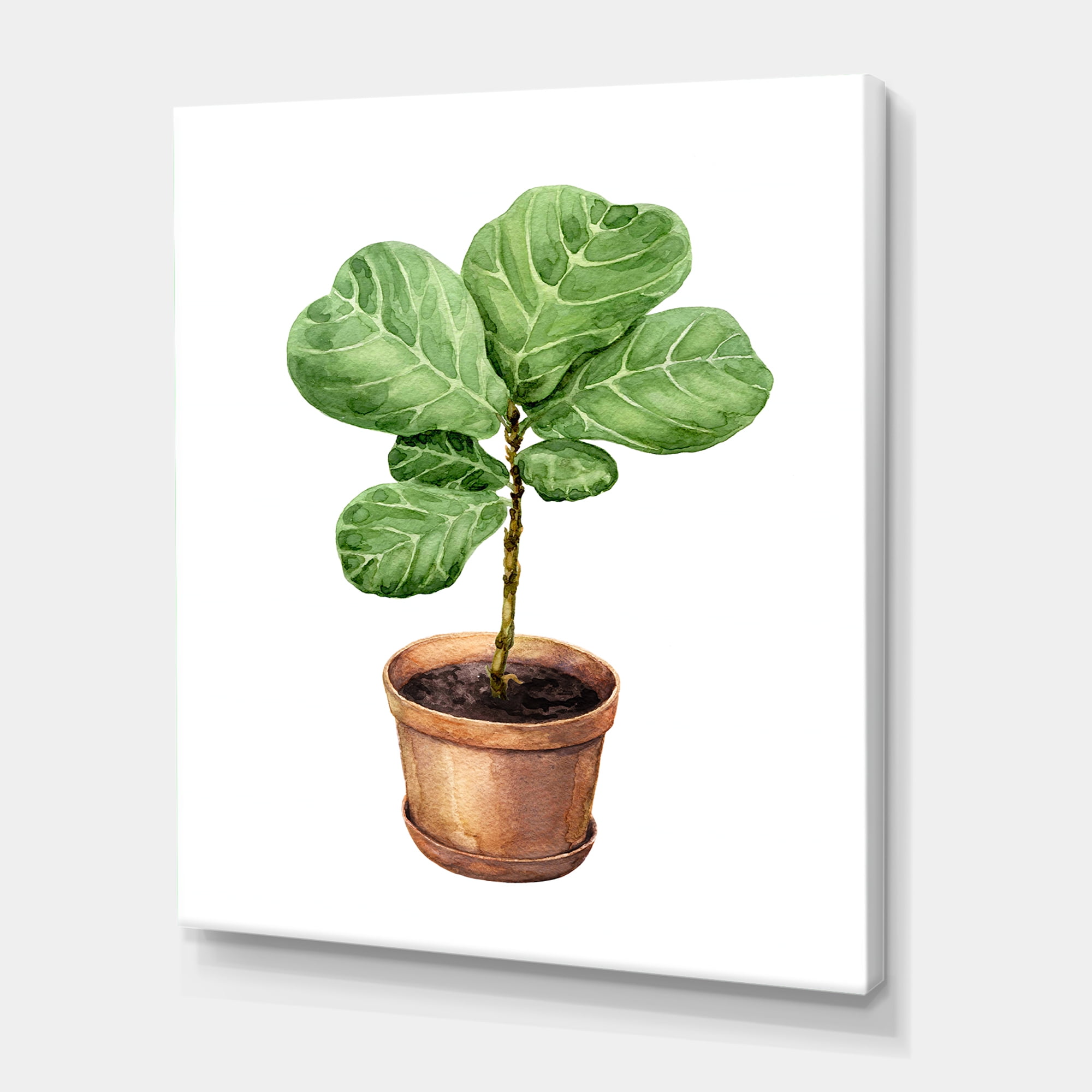 Ficus Lyre Plant In Clay Flowerpot 16 in x 32 in Painting Canvas Art Print, by Designart