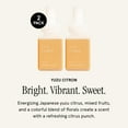 thumbnail image 3 of Pura Smart Home Air Diffuser Fragrance - Smart Home Scent Refill - Up to 120-Hours of Premium Fragrance per Refill - Clean Diffuser Fragrance for Home, Office & Apartment - 2 Pack, Yuzu Citron, 3 of 8