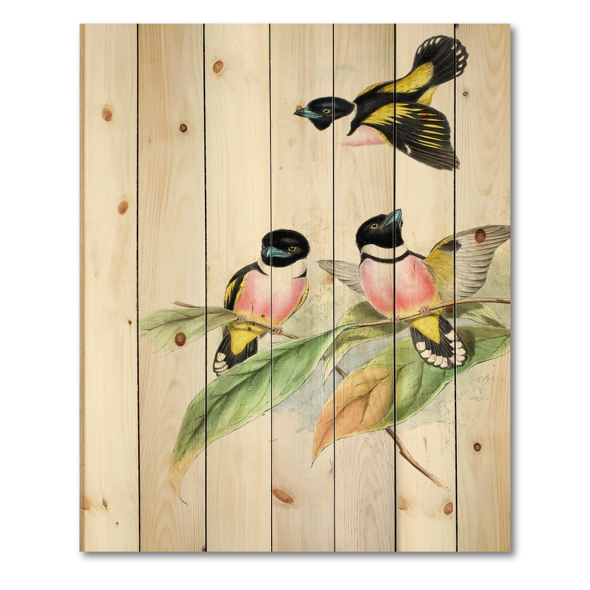 Designart 'Ancient Birds III' Traditional Print on Natural Pine Wood