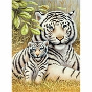 Junior Small Paint By Number Kit 8.75"X11.75"-White Tiger Pair