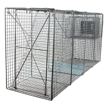 X-Large One Door Catch Release Heavy Duty Cage Live Animal Trap for Large Dogs, Foxes, Coyotes and Other Similar Sized Animals, (Best Way To Catch A Coyote)