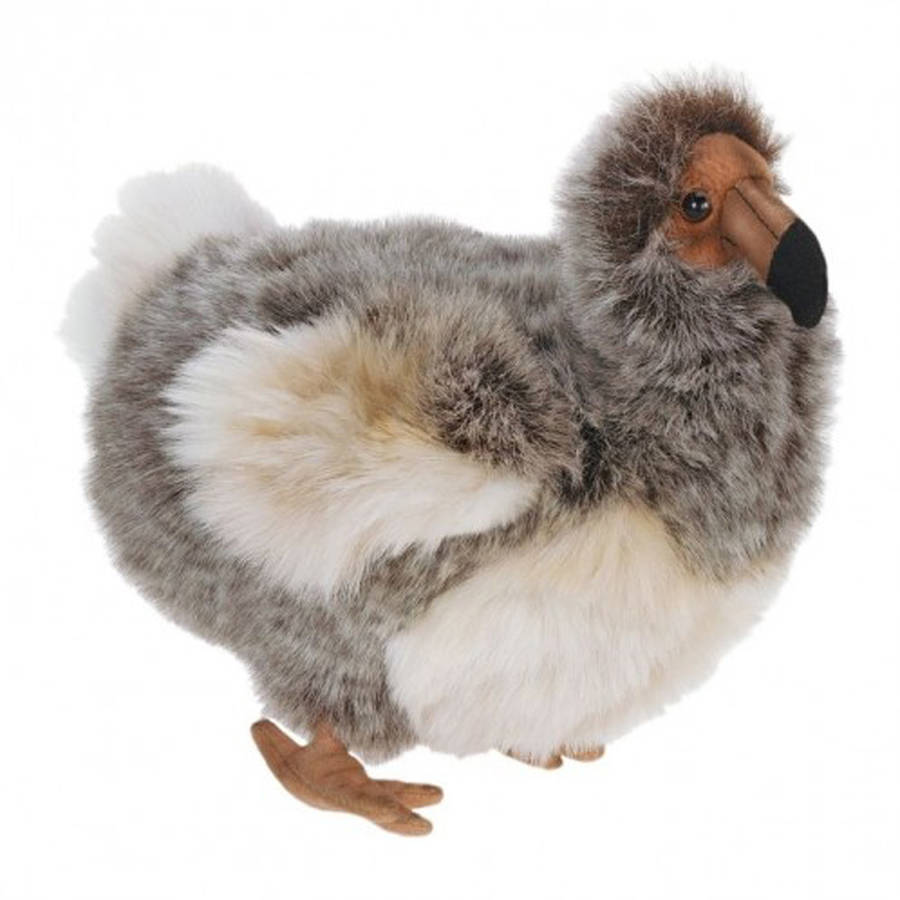 hansa pigeon