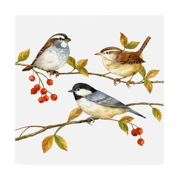 Trademark Fine Art 'Birds And Berries I' Canvas Art by Jane Maday