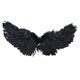 thumbnail image 1 of Disfraz de Halloween Gloria Mascota de Navidad Ropa elástica Cachorro Animal S Negro, 1 of 9