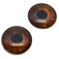 thumbnail image 4 of Medium Brown Human Inspired Glass Eyes, 4 of 7