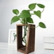 thumbnail image 5 of Terrario para plantas de escritorio: jarrones de suspendidos del que aportan la naturaleza a tu hogar u oficina, para, 5 of 9