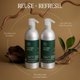 thumbnail image 2 of Champú Tea Tree, botella de aluminio especial de 500 ml para todo el cabello, 2 of 7