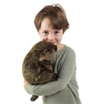 thumbnail image 4 of Folkmanis Groundhog Hand Puppet,Brown; Tan; White, 4 of 4