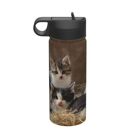 

KLL Cat Family Pattern 18OZ Water Bottle With Straw Stainless Steel Sports Water Cup Flask Sports Water Cup Flask Wide Mouth Travel Thermal Mug