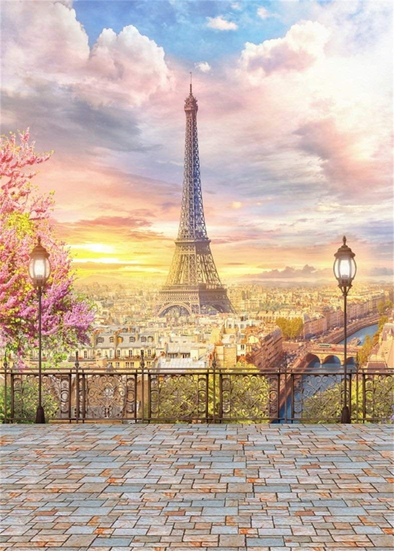 ABPHOTO 5x7ft Photography Backdrop Fantasy Sunset City Landscape Eiffel