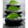 thumbnail image 3 of Braun Studio 15x18 Black Modern Framed Museum Art Print Titled - Bien-Ãªtre, 3 of 5