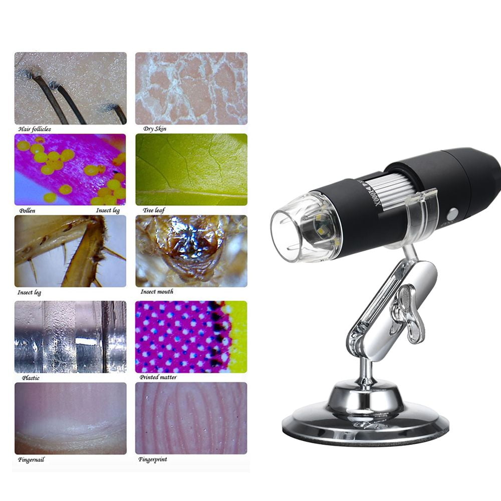 usb digital microscope 1000x driver download usb digital microscope 1000x driver download