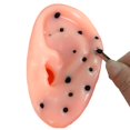 thumbnail image 3 of Oreilles en Forme de Bouton de Décompression Acné Points Noirs Dissolvant Bouton Popper Jouets, 3 of 3
