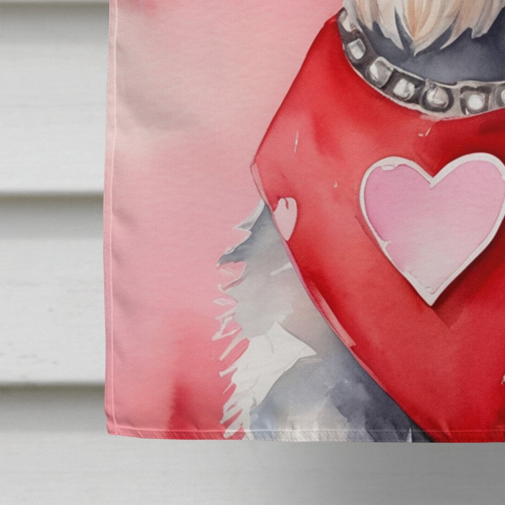 Schnauzer My Valentine House Flag 28 in x 40 in