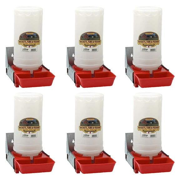 Little Giant 1-Gallon Impact Translucent Polyethylene Piglet Waterer  (6 Pack)