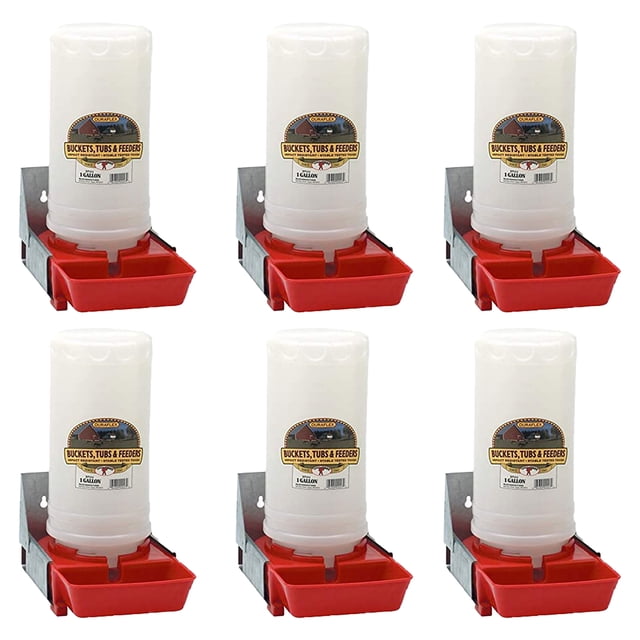 Little Giant 1-Gallon Impact Translucent Polyethylene Piglet Waterer (6 Pack)