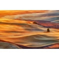 thumbnail image 2 of Jacobs, Lydia 32x23 Black Ornate Wood Framed with Double Matting Museum Art Print Titled - Golden Palouse, 2 of 4