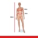 thumbnail image 4 of MANIQUI EXHIBIDOR MUJER CUERPO COMPLETO EXPOR FEM20, 4 of 6