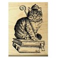 thumbnail image 2 of Royal Cat Rubber Stamp WM P34, 2 of 3