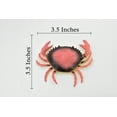 thumbnail image 2 of Crab, Dungeness Crab, Rubber, Crustaceans, Educational, Realistic, Hand Painted, Figure, Lifelike Figurine, Replica, Gift, 3 1/2" F6001 B378, 2 of 8