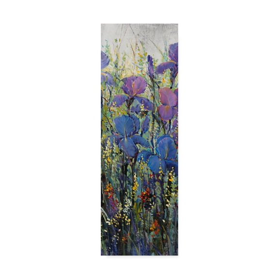 Trademark Fine Art 'Iris Field II' Canvas Art by Tim OToole