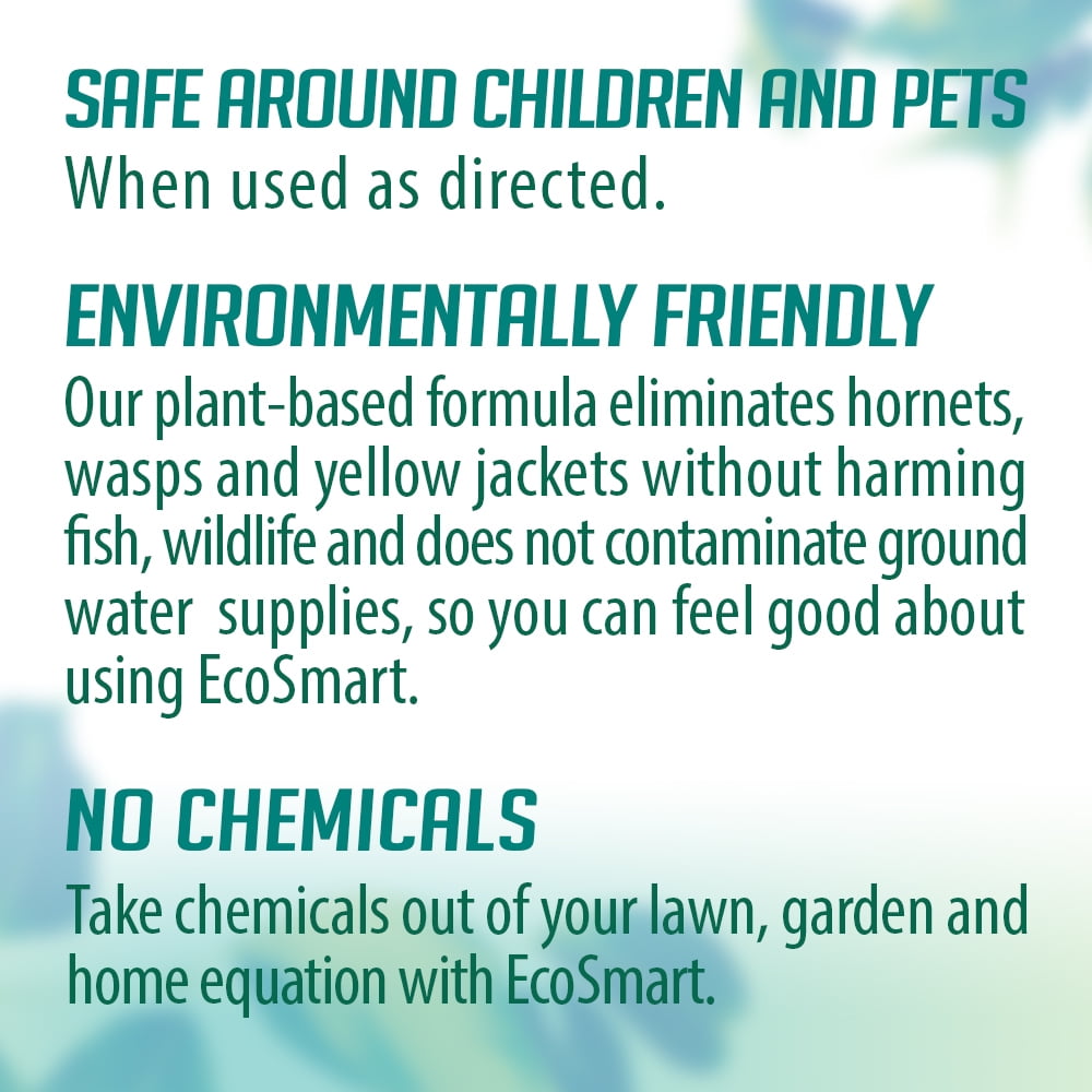EcoSmart Natural, Plant-Based Essential Oil Wasp and Hornet Killer, 14 Ounce Aerosol Spray Can (Pack of 2)