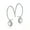 White, variant on Drop Hook Earrings for Women Sterling Silver Cubic Zirconia Charm Ginger Lyne Collection