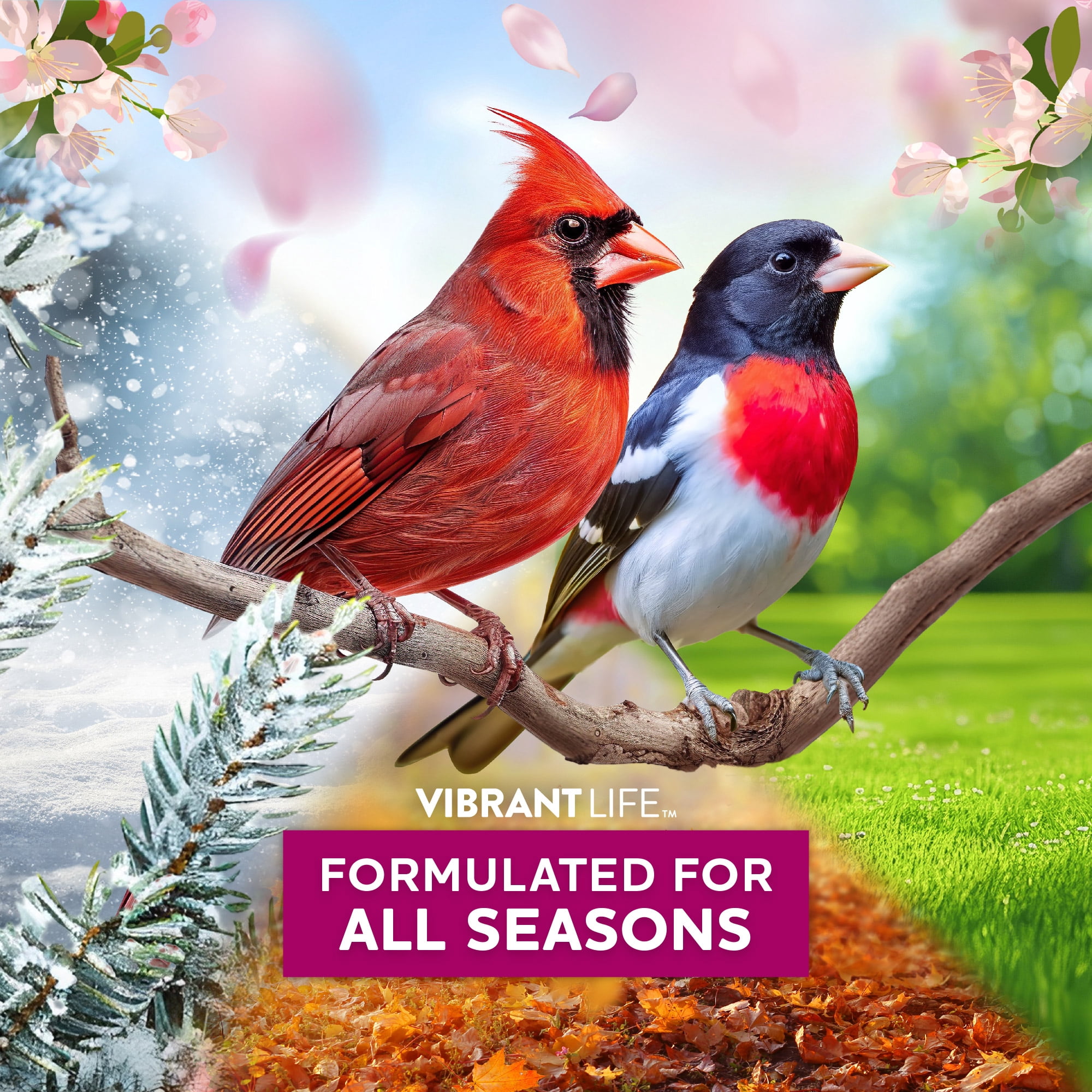 Vibrant Life Nut 'N Fruit Wild Bird Seed, 20 lb Bag
