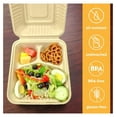 thumbnail image 5 of 100% Compostable Disposable Food Containers with Lids [9”X9” 3-Comp 200 Pack] Eco-Friendly Take-Out TO-GO Containers, Heavy-Duty, Biodegradable, Unbleached by KriKac, 5 of 7