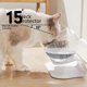 thumbnail image 3 of Cuenco para gatos, cuenco alto para perros y gatos, protección para el cuello, cuenco para mascotas, de plástico, antideslizante, con boca oblicua, cuenco doble para beber agua, 3 of 5