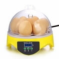 thumbnail image 1 of Incubadoras de Pollos XWSHYW 7 para Incubar Huevos de Gallina y codorniz con Control de Temperatura, 1 of 6