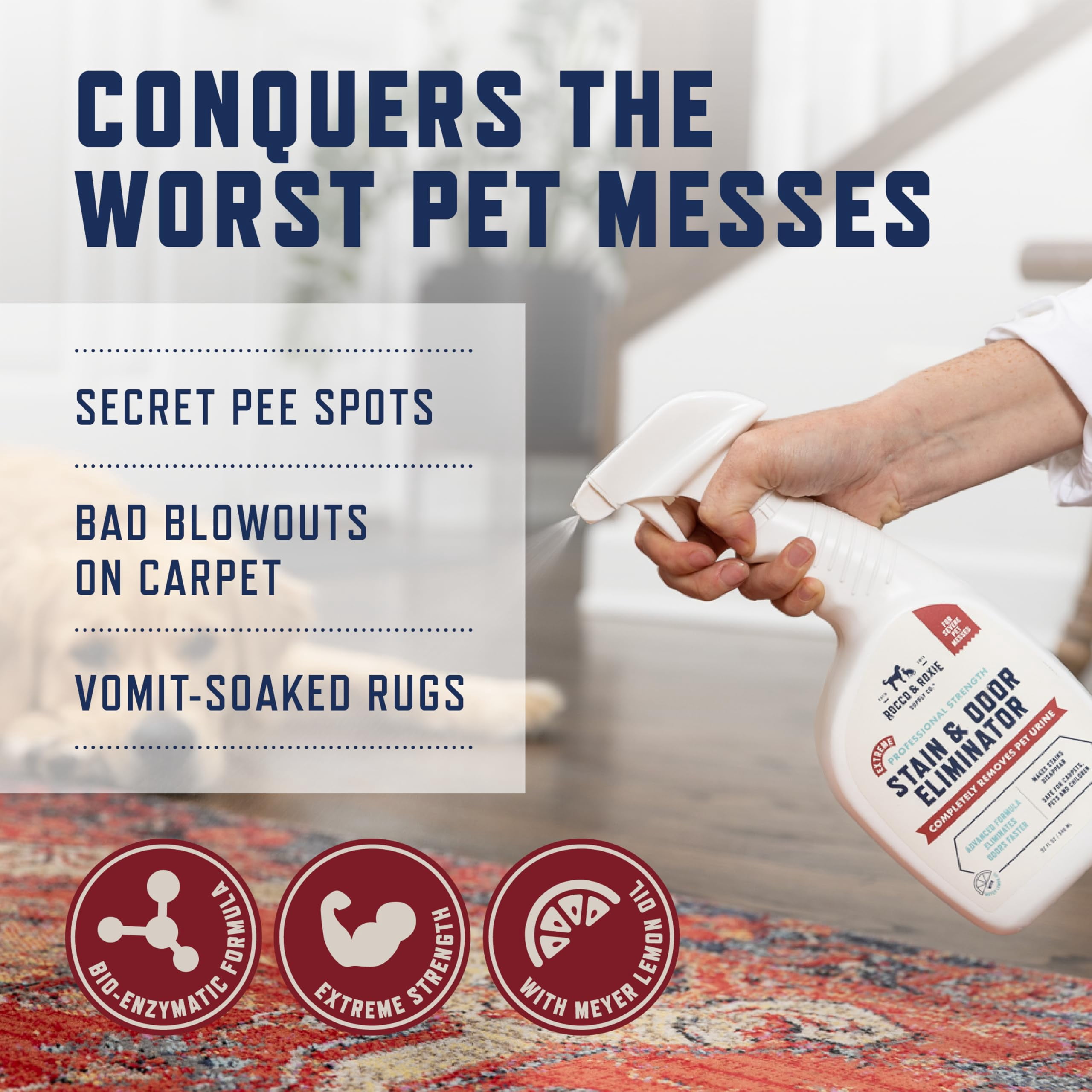 Rocco & Roxie Extreme Stain & Odor Eliminator for Strong Odor, Pet Urine Enzyme Cleaner Destroyer, Stain Remover, Dog Poop and Cat Pee, Enzymatic Carpet Cleaner Spray for Home, Puppy Potty Training