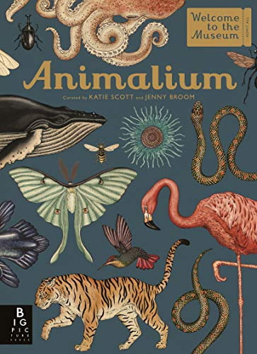 Welcome to the Museum Animalium: Welcome to the Museum, (Hardcover