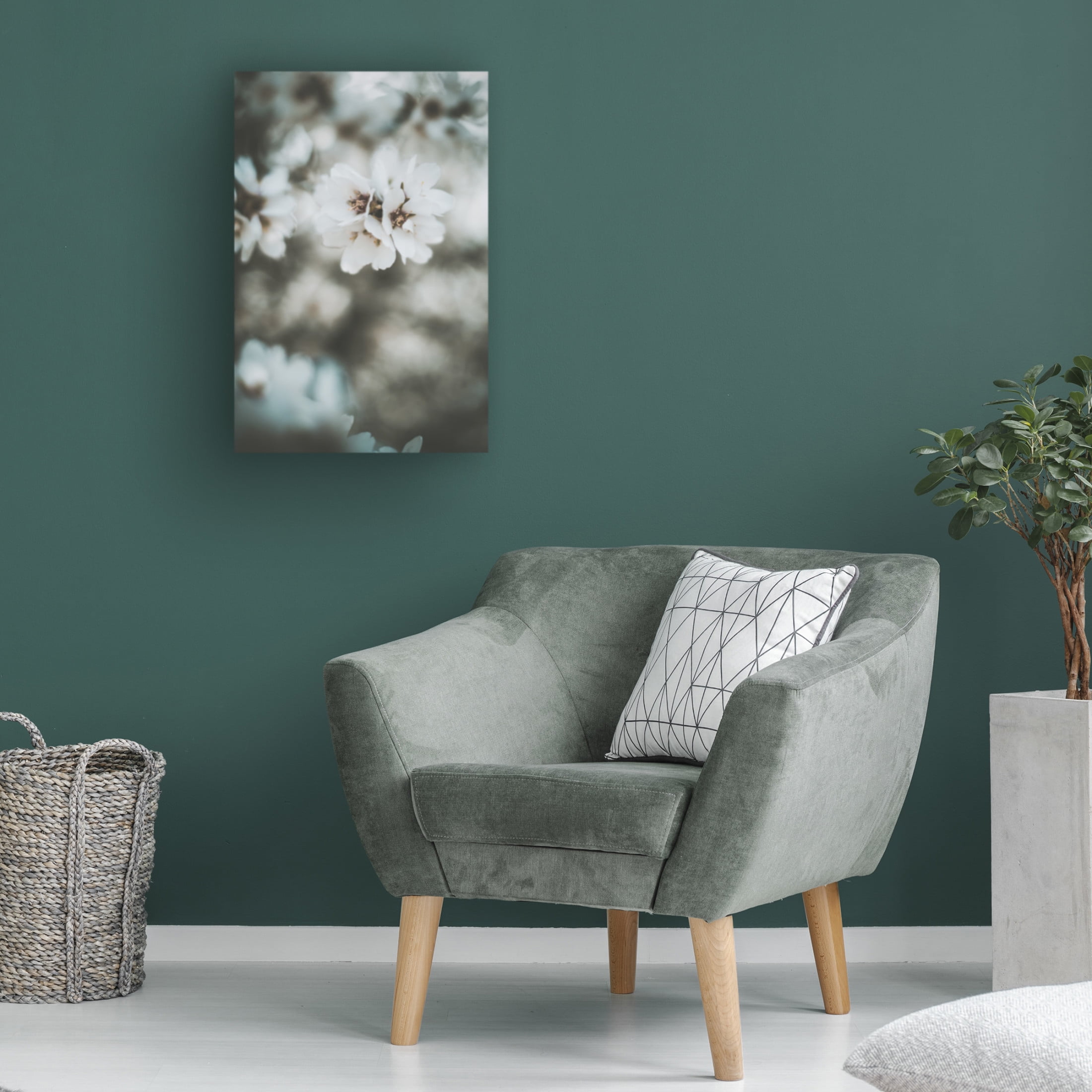 Trademark Fine Art Tim Mossholder Almond Blossoms Canvas Wall Art