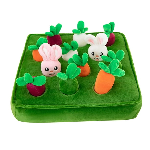 Juguete de peluche de zanahoria de jardín, interacción entre padres y hijos, educación, fruta vegetal,