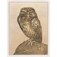 thumbnail image 3 of Hoytema, Theo van 12x14 Black Modern Framed Museum Art Print Titled - Little owl on rock, 3 of 5