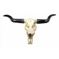 thumbnail image 6 of Ebros Large 27"Wide Longhorn Steer Cow Skull Wall Head Hanging Sculpture Plaque, 6 of 9