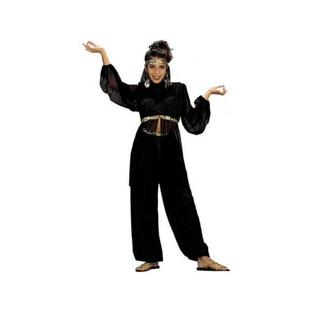 Adult Black Harem Dancer Costume