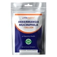 thumbnail image 1 of Suplemento vitamático Akkermansia Muciniphila Gut Health 100g, 1 of 7
