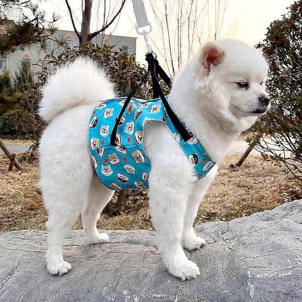 Chaleco refrigerante para perros con bolsas de hielo reciclables, arnés refrigerante ajustable para perros, chaqueta refrigerante de verano para perros pequeños, medianos y grandes.