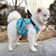 thumbnail image 1 of Chaleco refrigerante para perros con bolsas de hielo reciclables, arnés refrigerante ajustable para perros, chaqueta refrigerante de verano para perros pequeños, medianos y grandes., 1 of 1