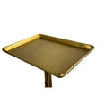 thumbnail image 3 of Trelavi Service Tray Rolling Adjustable Multi-Use for Hair Coloring, Tinting, Styling, Salon Service Tray Tattoo Facial Spa Organizing Tray, Gold, 3 of 4