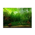 thumbnail image 2 of Póster de fondo acuario Yuyangstore Pecera Pegatina de fondo, 2 of 8