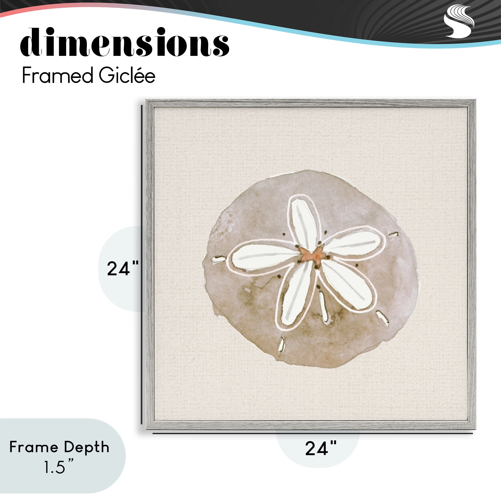 Stupell Industries Serene Beige Sand Dollar Gray Framed Giclee Art, design by Lanie Loreth