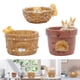 thumbnail image 1 of 3 macetas de resina para suculentas, maceta para animales, , habitación interior, decoración de escritorio Cola macetas suculentas, 1 of 8