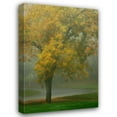 thumbnail image 1 of Vitaly Geyman 31x44 Gallery Wrapped Canvas Wall Art Titled - Colors in the Mist V, 1 of 4