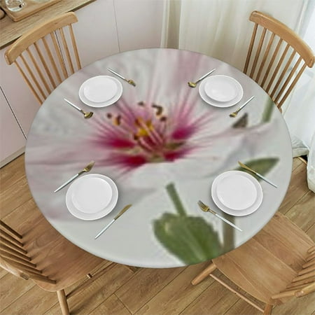 

nygtbtfer Ethnic Flowers Round Fitted Tablecloth with Elastic Edge Flowers Round Table Cover Home Decorative Tablecloth for Table Fit for Round Tables 38 -42