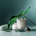 thumbnail image 2 of Valotivo con aroma a lluvia forestal de Nueva York, 60 ml, de Candle NEST, 2 of 5