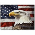 thumbnail image 2 of Area Rugs Indoor Non-Slip Rectangle Rug 2.7x5 Ft American Flag Backdrop Bald Eagle Independence Day Rug Rubber Backing Floor Mats Non Shedding Home Decor Carpet for Entryway Living Room, 2 of 8